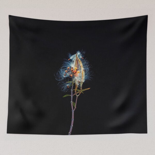 Item preview, Milkweed Flowers Seed Pods X101 designed and sold by RichFrancoCars.