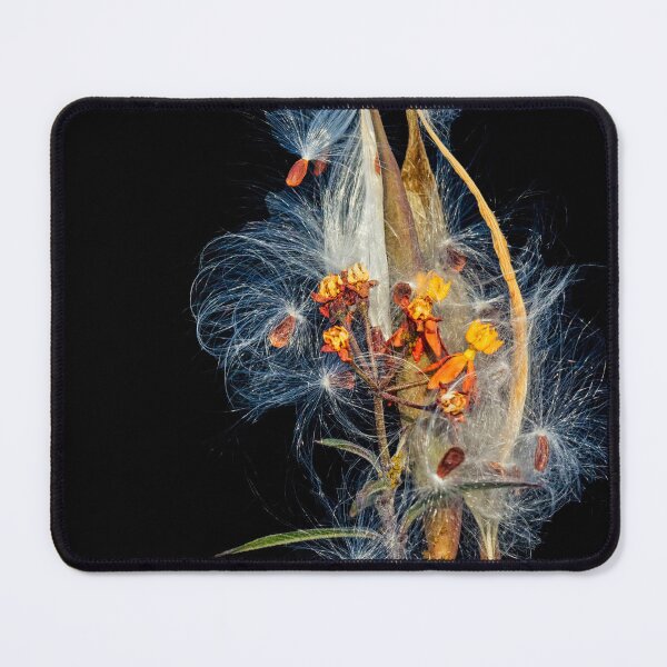 Item preview, Milkweed Flowers Seed Pods X103 designed and sold by RichFrancoCars.