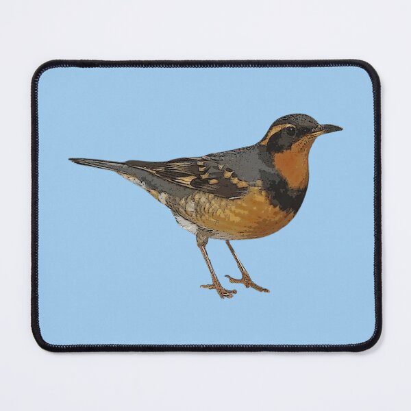 Item preview, Varied Thrush Color Design  designed and sold by designsasstultd.