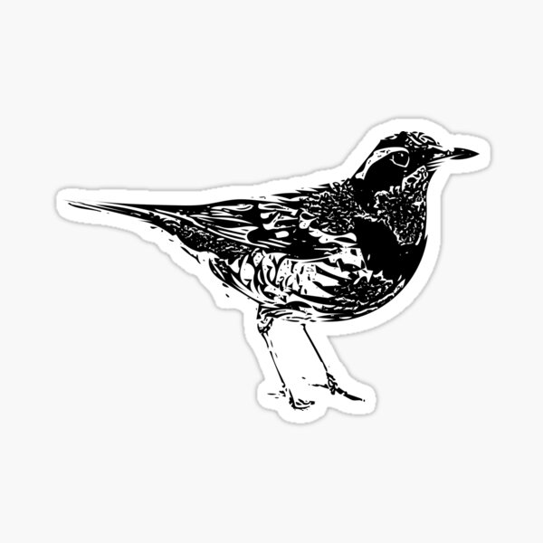 Item preview, Varied Thrush Black Design  designed and sold by designsasstultd.