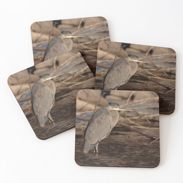 Item preview, Great Blue Heron 1-30-24 designed and sold by Thomasyoung.