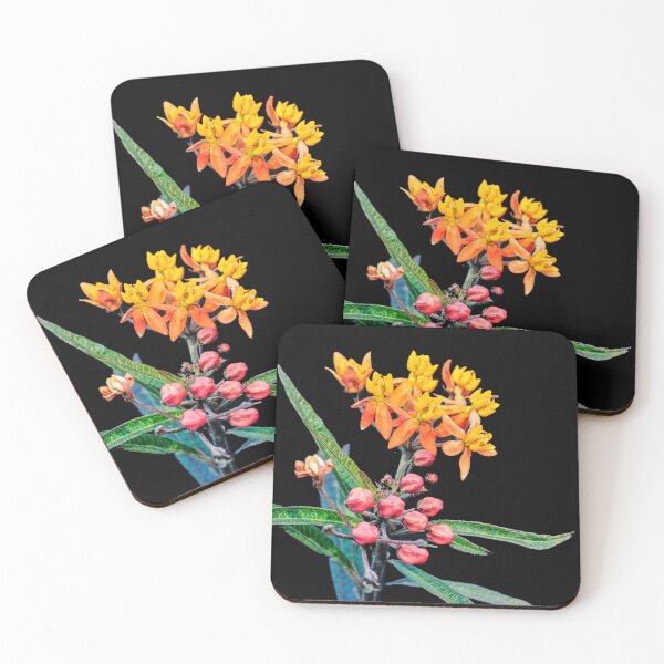 Item preview, Milkweed Flowers X127 designed and sold by RichFrancoCars.