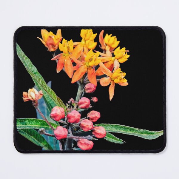Item preview, Milkweed Flowers X127 designed and sold by RichFrancoCars.