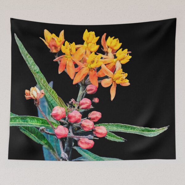 Item preview, Milkweed Flowers X127 designed and sold by RichFrancoCars.