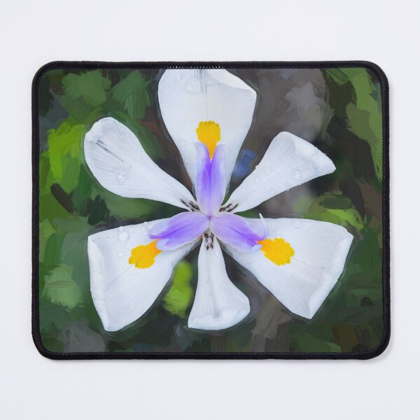 Item preview, African Iris Morea Dietes X100 designed and sold by RichFrancoCars.