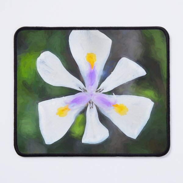 Item preview, African Iris Morea Dietes X101 designed and sold by RichFrancoCars.