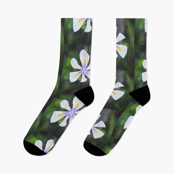 Item preview, African Iris Morea Dietes X101 designed and sold by RichFrancoCars.