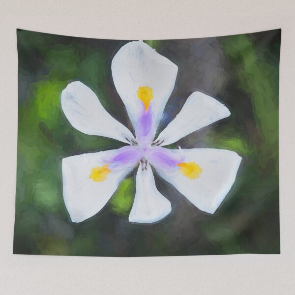 Item preview, African Iris Morea Dietes X101 designed and sold by RichFrancoCars.