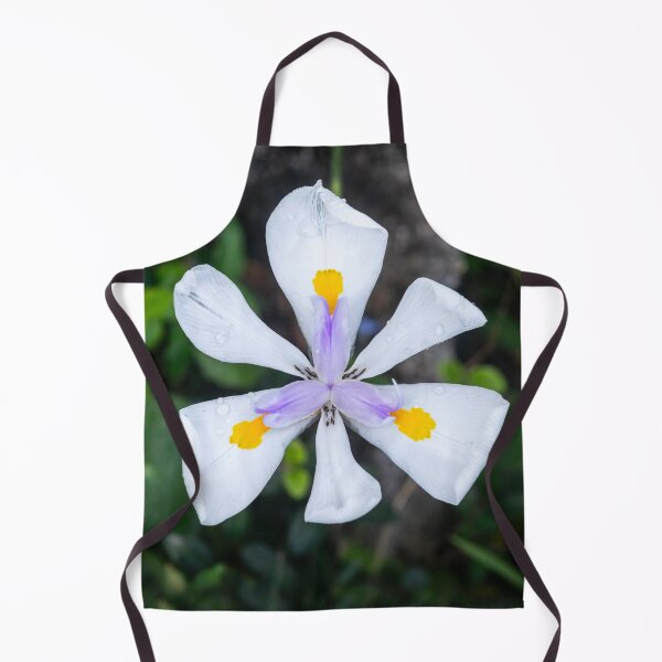Item preview, African Iris Morea Dietes X102 designed and sold by RichFrancoCars.