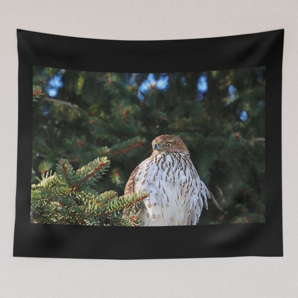 Item preview, Coopers Hawk Backyard Hunting designed and sold by Deb Oppermann.