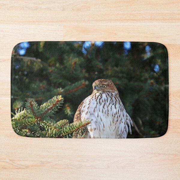 Item preview, Coopers Hawk Backyard Hunting designed and sold by Deb Oppermann.