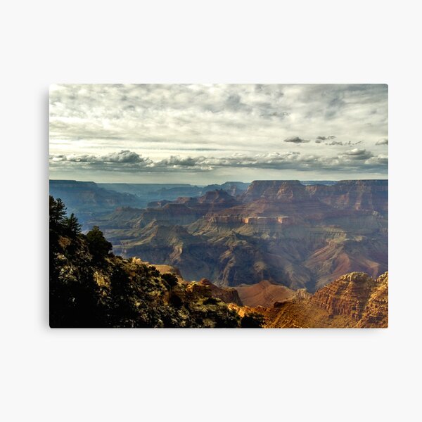 Splendor Metal Print