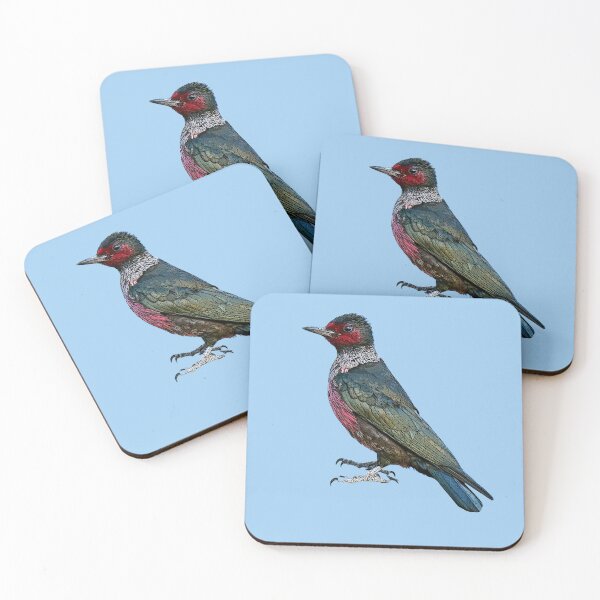 Item preview, Lewis’s Woodpecker Color Design  designed and sold by designsasstultd.