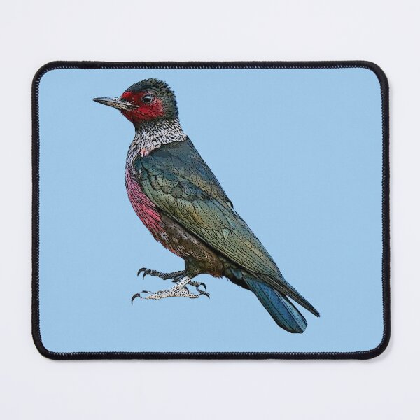 Item preview, Lewis’s Woodpecker Color Design  designed and sold by designsasstultd.
