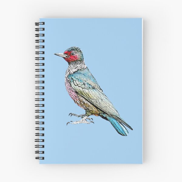 Item preview, Lewis’s Woodpecker Black Alternate Design  designed and sold by designsasstultd.