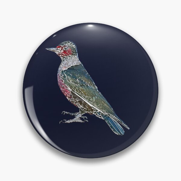 Item preview, Lewis’s Woodpecker White Alternate Design  designed and sold by designsasstultd.