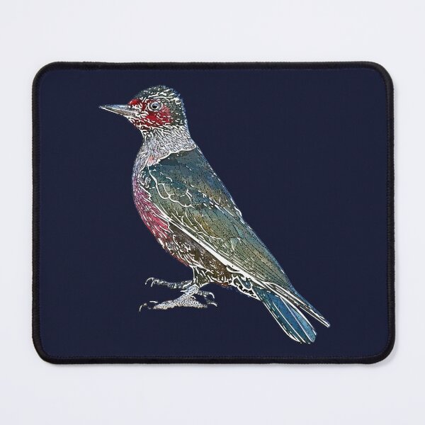 Item preview, Lewis’s Woodpecker White Alternate Design  designed and sold by designsasstultd.