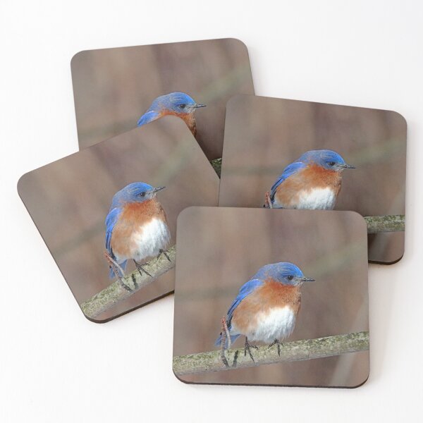 Item preview, Eastern Bluebird In Winter designed and sold by Deb Oppermann.