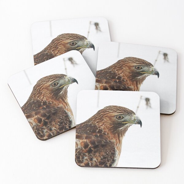 Item preview, Red Tailed Hawk Close Up designed and sold by Deb Oppermann.