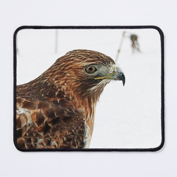 Item preview, Red Tailed Hawk Close Up designed and sold by Deb Oppermann.
