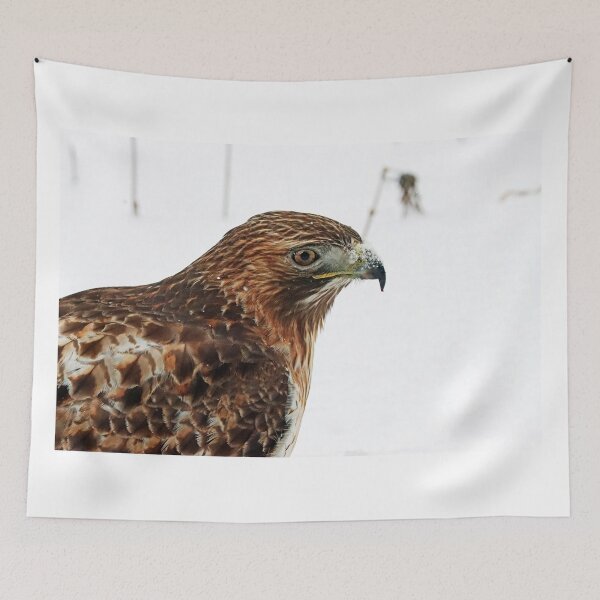 Item preview, Red Tailed Hawk Close Up designed and sold by Deb Oppermann.