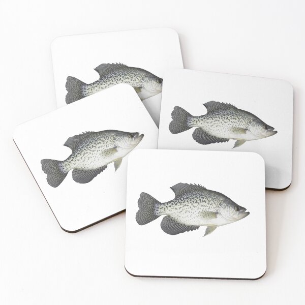 Item preview, Isolated Black Crappie 13-24-24 designed and sold by Thomasyoung.