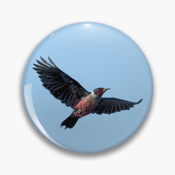 Item preview, Lewis’s Woodpecker Flying Color Design  designed and sold by designsasstultd.