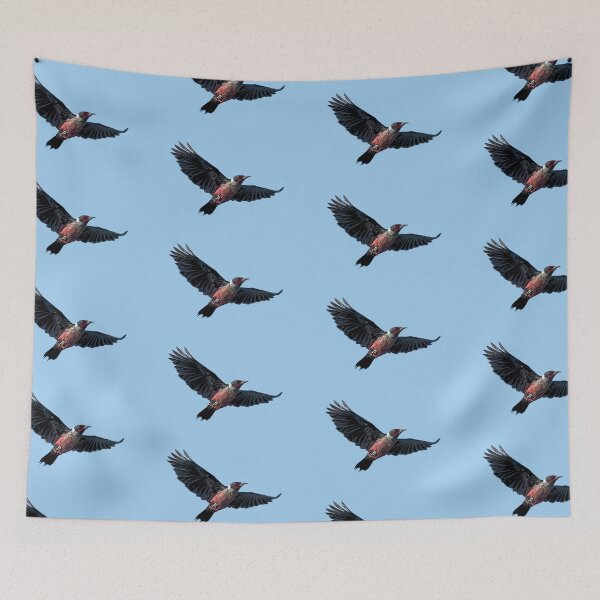 Item preview, Lewis’s Woodpecker Flying Color Design  designed and sold by designsasstultd.