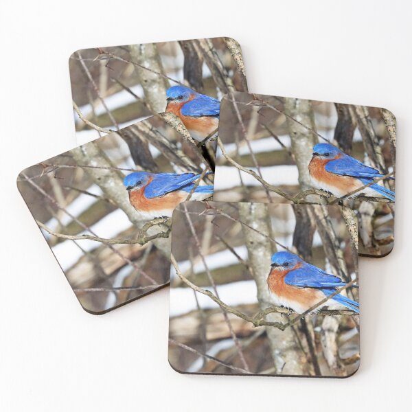 Item preview, Winter Bluebird designed and sold by Deb Oppermann.