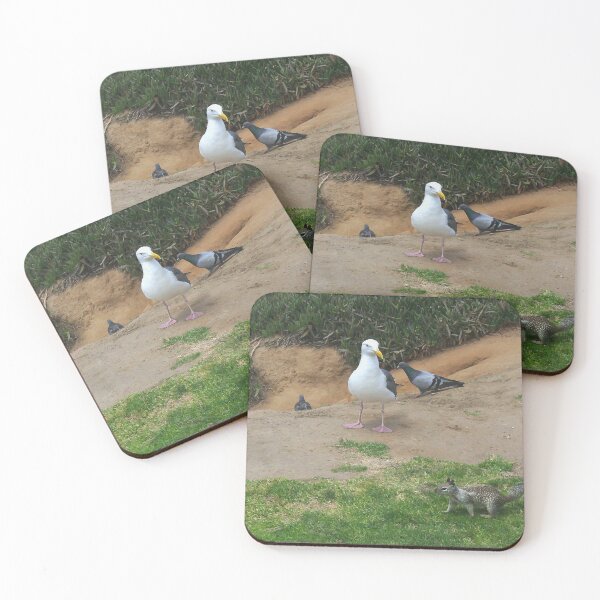Item preview, Hey Kid, This is Bird Territory! designed and sold by heatherfriedman.