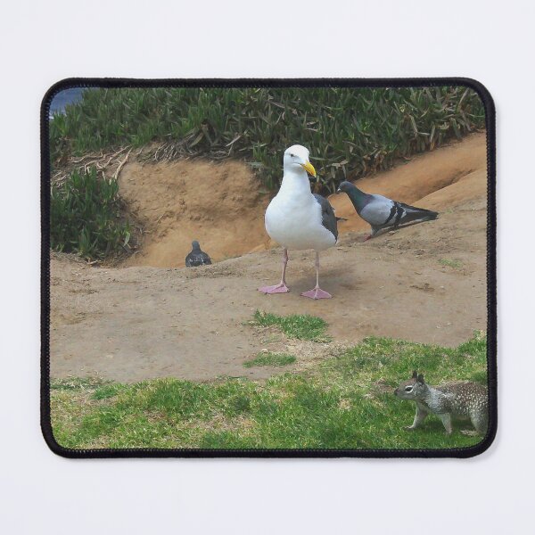 Item preview, Hey Kid, This is Bird Territory! designed and sold by heatherfriedman.