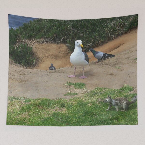 Item preview, Hey Kid, This is Bird Territory! designed and sold by heatherfriedman.