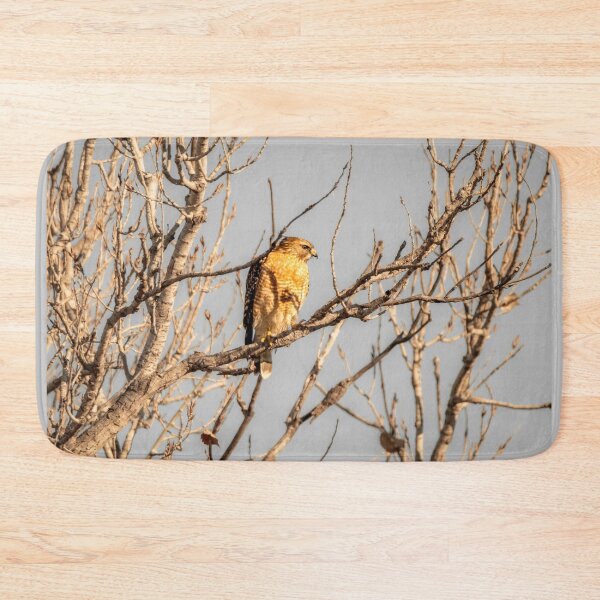 Item preview, Hawk Scanning For Prey designed and sold by Debra Martz.