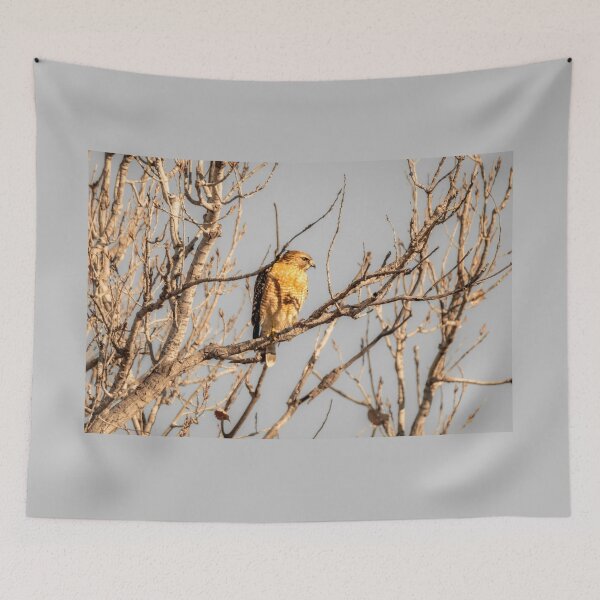 Item preview, Hawk Scanning For Prey designed and sold by Debra Martz.