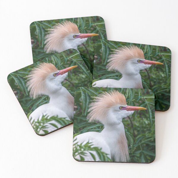 Item preview, Cattle Egret Portrait designed and sold by Your search is over, it’s here! .