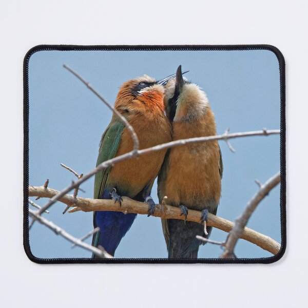 Item preview, Love Birds designed and sold by Your search is over, it’s here! .