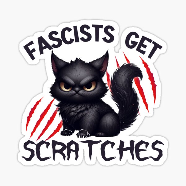 Artikel-Vorschau von Faschisten bekommen Kratzer, Grumpy Cat, Widerstand, USA, designt und verkauft von desireedickens.