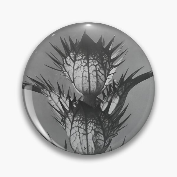 Item preview, "Urformen der Kunst" by Karl Blossfeldt (1928) designed and sold by iwadesigns.