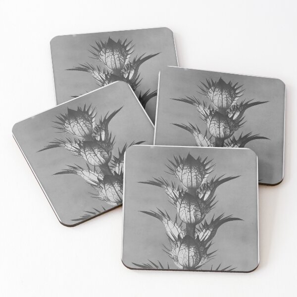Item preview, "Urformen der Kunst" by Karl Blossfeldt (1928) designed and sold by iwadesigns.