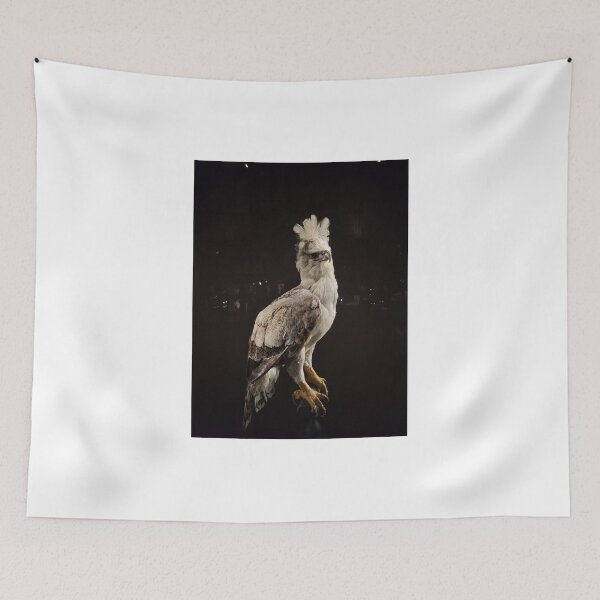 Item preview, The Majestic Gaze of a Harpy Eagle designed and sold by World-Shop25.