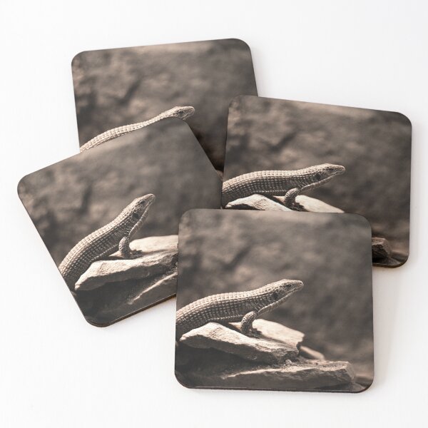 Item preview, A Reptilian Series: The Lizard designed and sold by Uphotology.