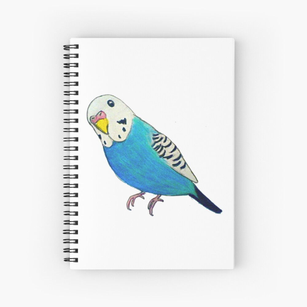 Cuaderno de espiral «Dibujo de periquito» de parakeetart | Redbubble