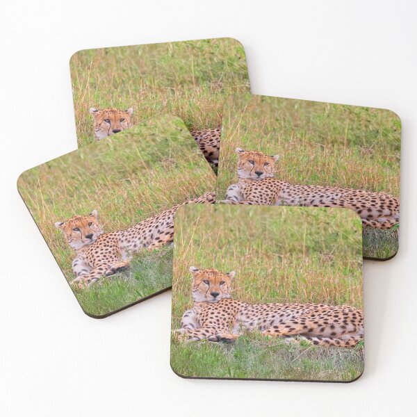Item preview, The Cheetah Stare designed and sold by Kay Brewer.