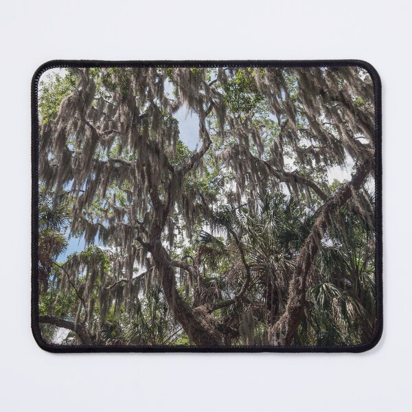 Item preview, Spanish Moss designed and sold by Your search is over, it’s here! .