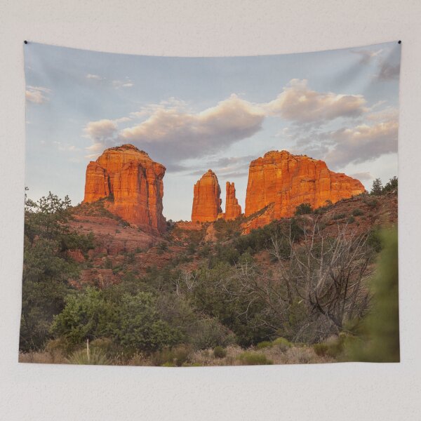 Item preview, Sedona Red Rocks Cathedral Rock designed and sold by jonesing.