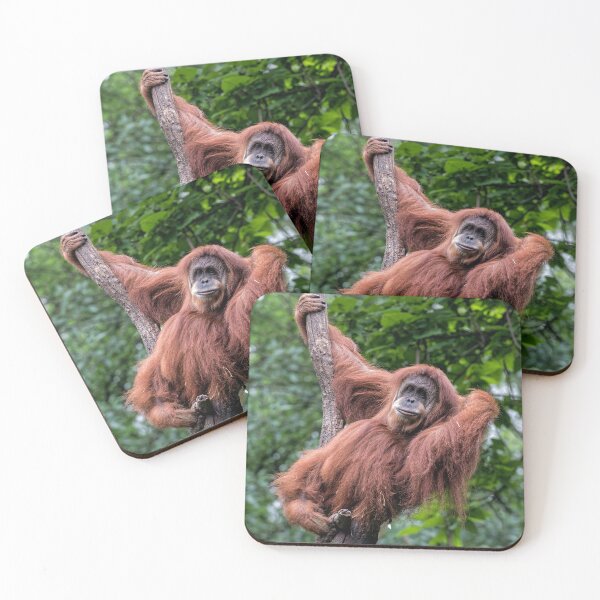 Item preview, Just Hanging Out designed and sold by Your search is over, it’s here! .
