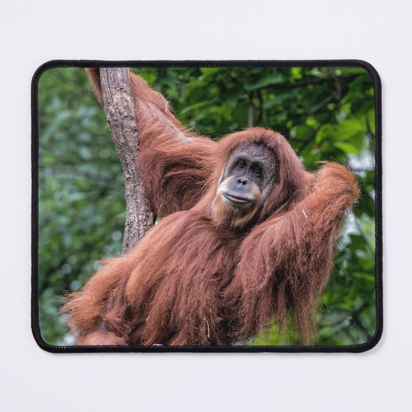 Item preview, Just Hanging Out designed and sold by Your search is over, it’s here! .