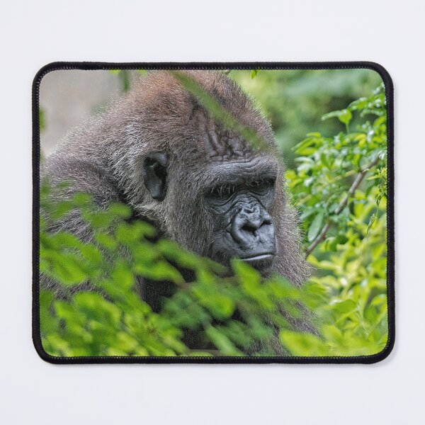 Item preview, Great Silverback designed and sold by Your search is over, it’s here! .