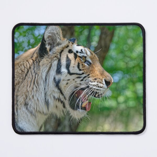 Item preview, Warning  designed and sold by Your search is over, it’s here! .