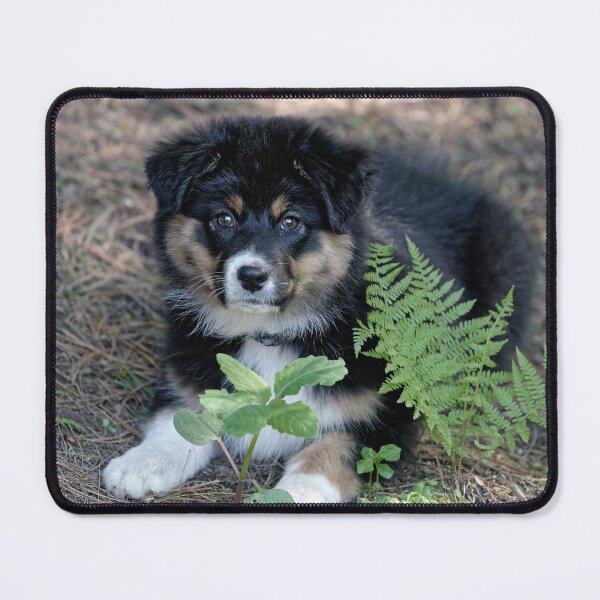 Item preview, Who are you calling a fur ball designed and sold by Your search is over, it’s here! .